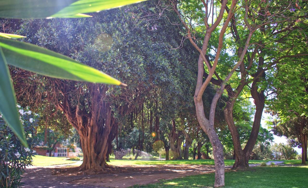 Parque De La Paloma Area - Benalmadena Costa 아파트 외부 사진